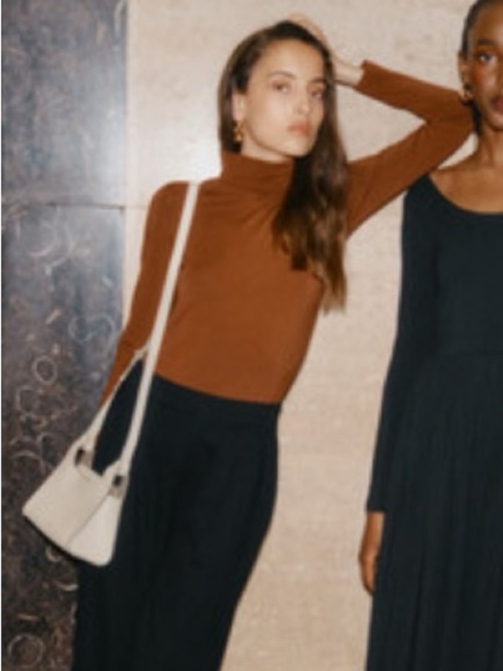 Cuyana Slim Back Slit Turtleneck Tee: Brown